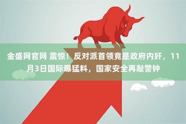 金盛网官网 震惊！反对派首领竟是政府内奸，11月3日国际曝猛料，国家安全再敲警钟