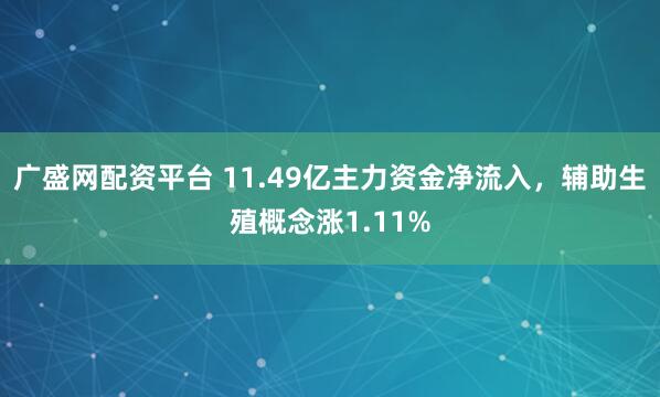广盛网配资平台 11.49亿主力资金净流入，辅助生殖概念涨1.11%