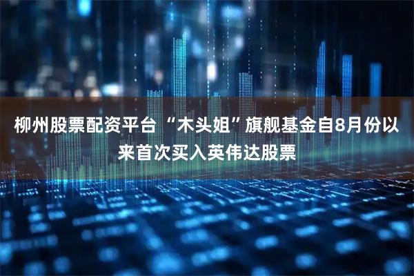 柳州股票配资平台 “木头姐”旗舰基金自8月份以来首次买入英伟达股票