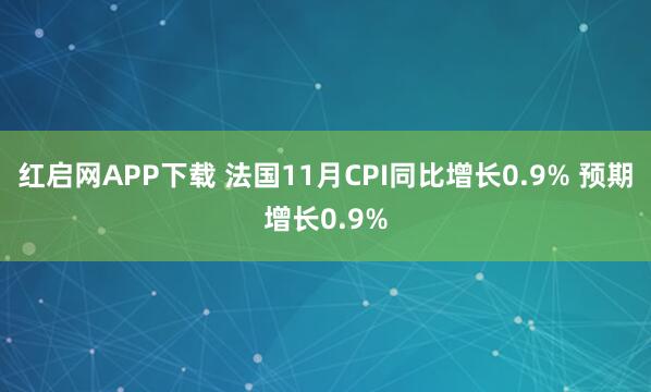 红启网APP下载 法国11月CPI同比增长0.9% 预期增长0.9%
